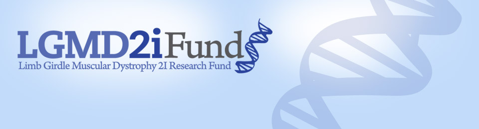 Lgmd2ifund