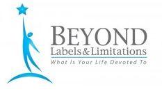 Beyond Labels Limitations