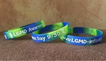 Wristbands 2