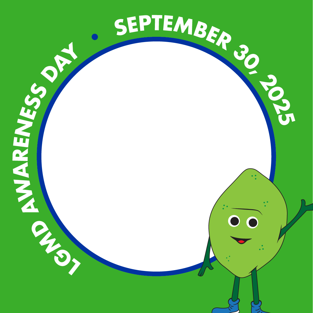 Lgmd Profile Frames 081225 03 Lgmd Profile Frames 081225 03