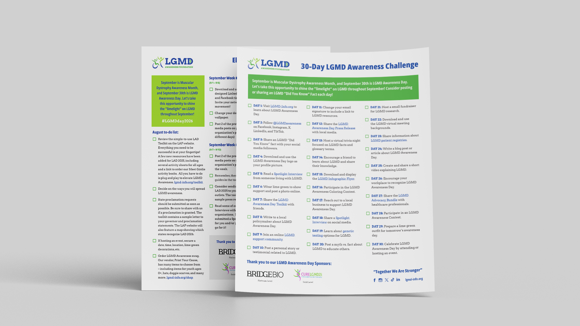 Lgmd 30 Day Challenge Mockup
